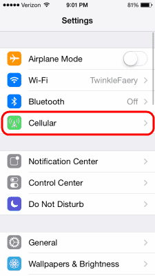 iOS7 Cellular option