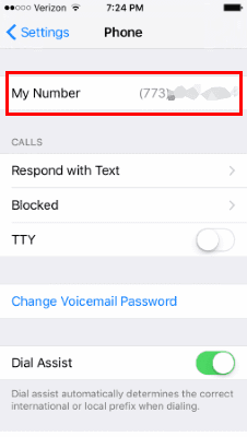 iPhone Phone Number screen