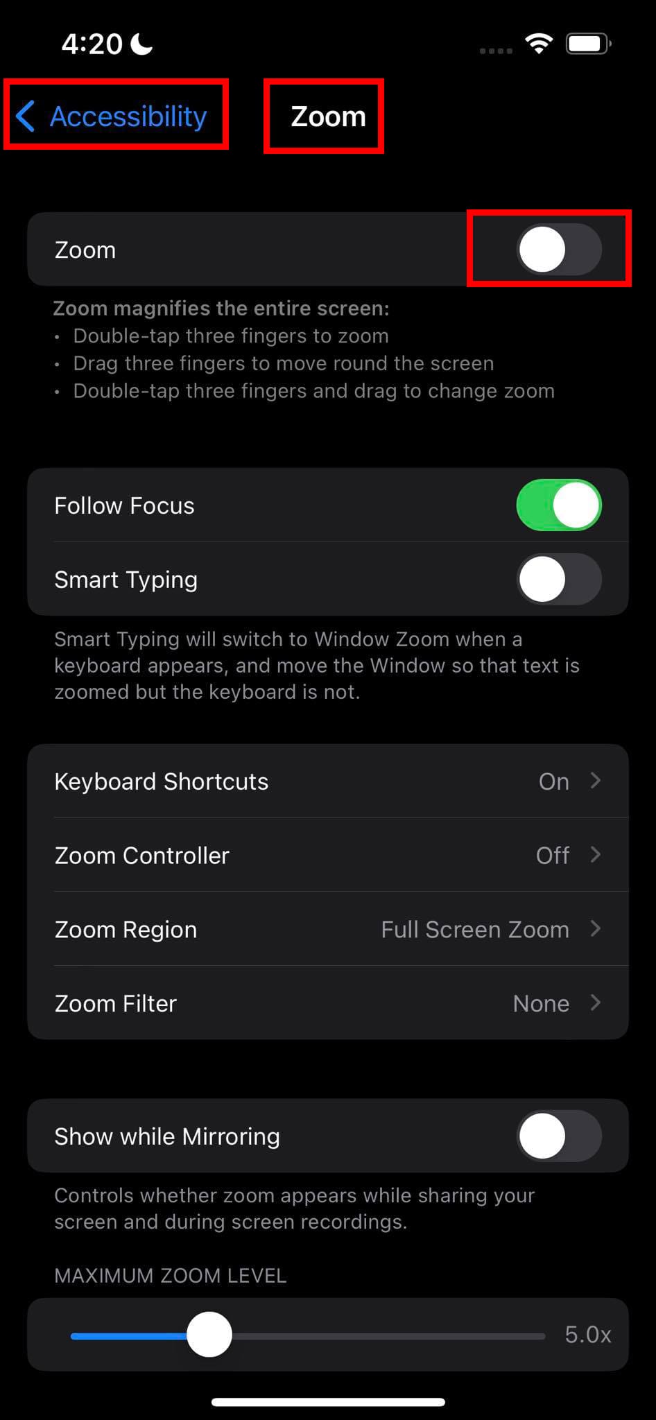 The Zoom features in Accessibility
