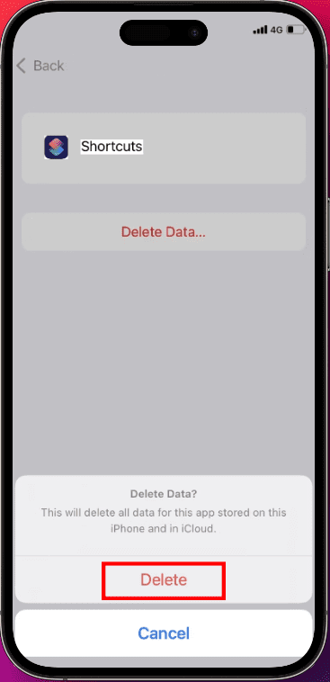 Confirm deletion of app data from iCloud by pressing Delete