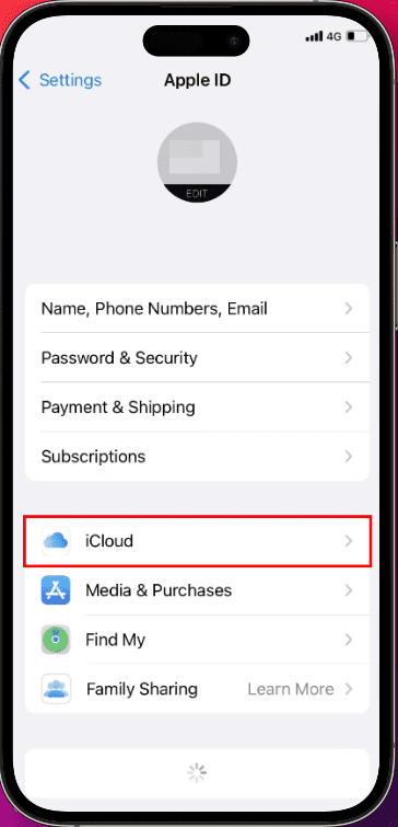 Go to iCloud folder from Apple ID Settings page