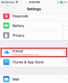 ios-icloud-option