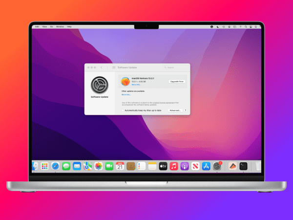Disable Apple Software Update Screen on Windows 11 and macOS