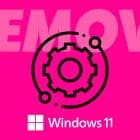 Win11 Remove Services Header