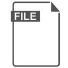 File Header