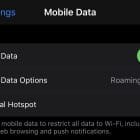iPhone: How to Turn Off Mobile Data