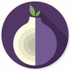 Is Tor a VPN?