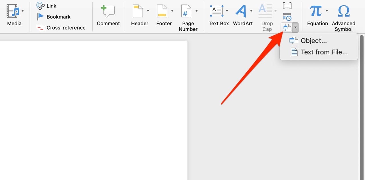 Choose the Object Option in Microsoft Word