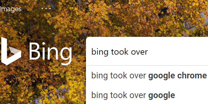 bing redirect took over browser