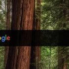Android: How to Personalize the Google Widget