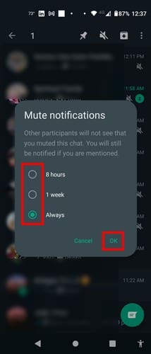 Mute notification times WhatsApp