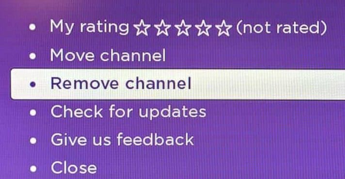 Fix Roku Not Adding Channels - Technipages