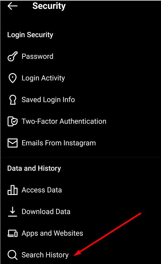instagram security search history