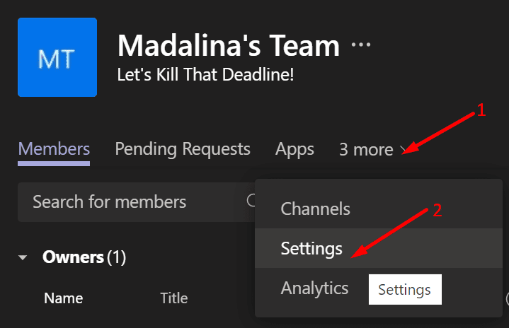 team settings microsoft team app