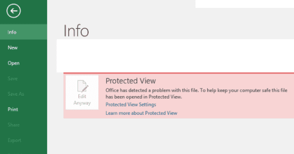 What Does ‘Protected View’ Mean?