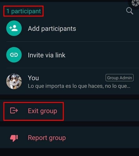 How to pin message in whatsapp group