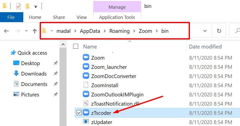 zTscoder.exe file zoom