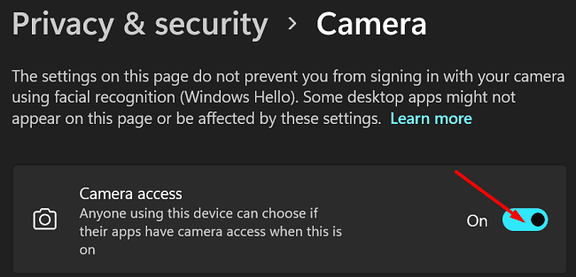 enable-camera-access-windows-11