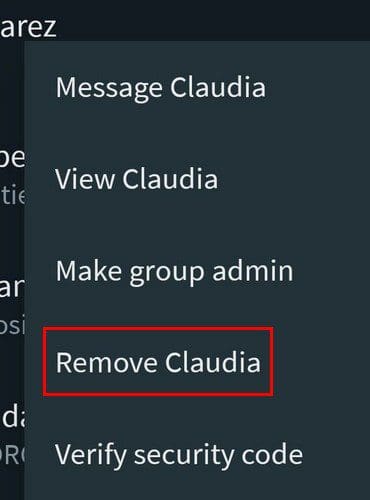 Remove from WhatsApp group