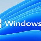 Windows 11: Fingerprint Option Is Currently Unavailable