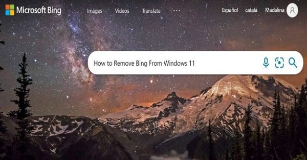 How to Remove Bing Search from Windows 11
