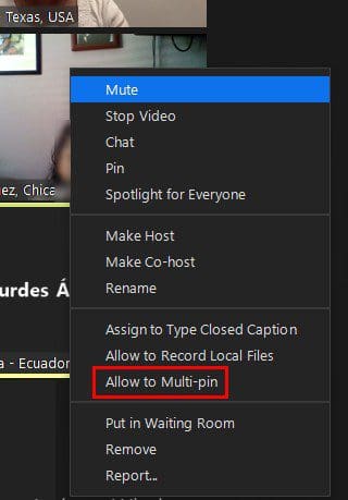 Allow to multi pin Zoom