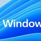 Windows 11: How to Enable/Disable Touchscreen