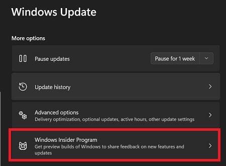 Windows-Insider-Program