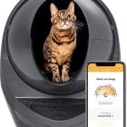 Best Tech Gadgets for Your Cat 2022