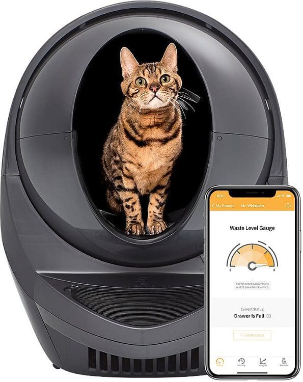 Best Tech Gadgets for Your Cat 2022