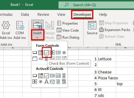 Developer Excel Insert