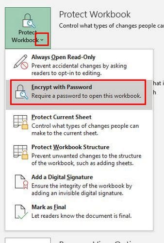Protect Password Excel