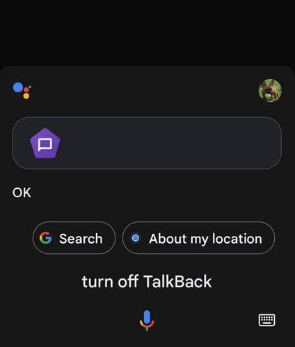 Assistant Turn on TalkBack