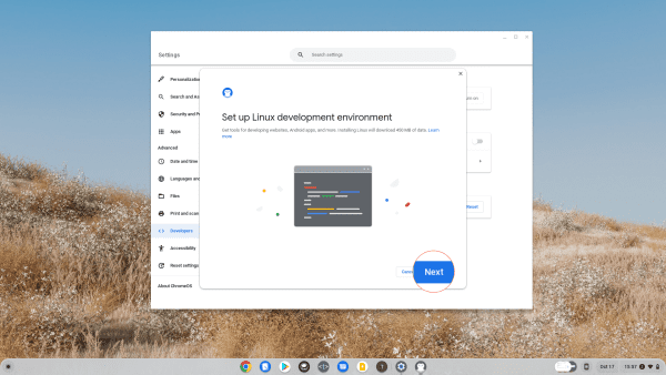 How to Set Up Linux on Chromebook - Technipages