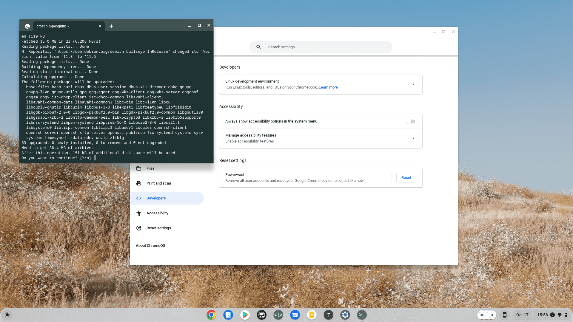 How to Set Up Linux on Chromebook - Terminal confirmation