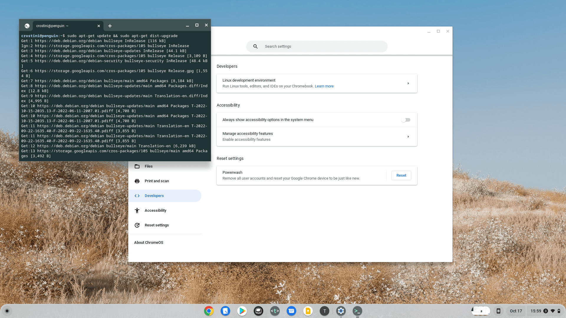 How to Set Up Linux on Chromebook - first Terminal command