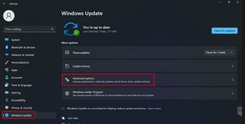 Advanced options Windows update