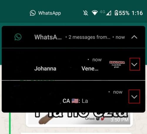 Multiple WhatsApp messages