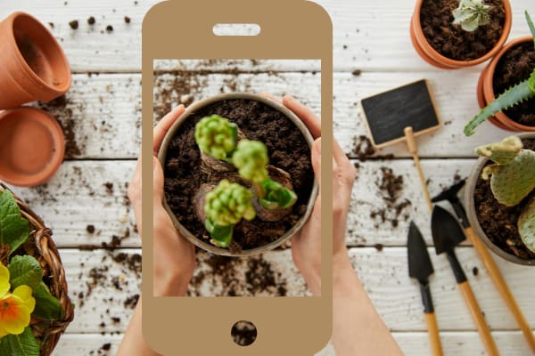 11 Best Gardening Apps for iOS and Android in 2023