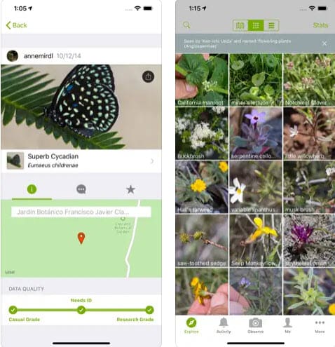 Best gardening apps iNaturalist