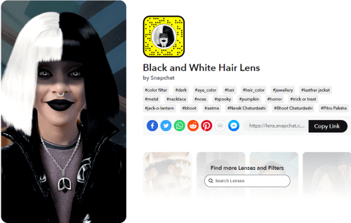 Black and White Hair Lens