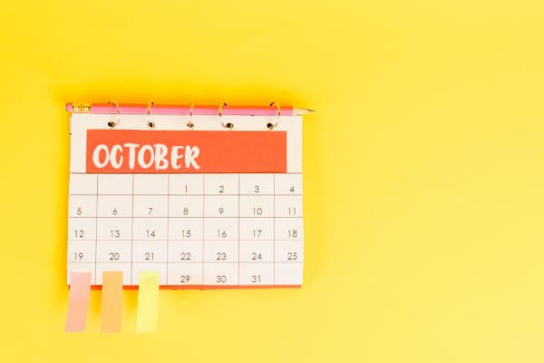 Excel Calendar Template 2023: The 9 Best Sources You Must Know