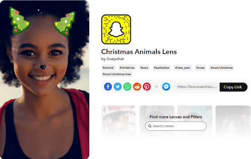 Snapchat Lenses Christmas Animals Lens