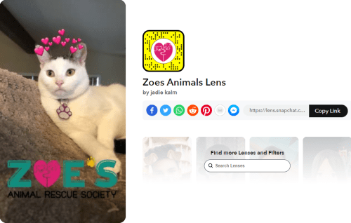 Zoes Animals Lens by jadie kalm