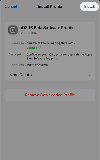iOS Beta Profile installation