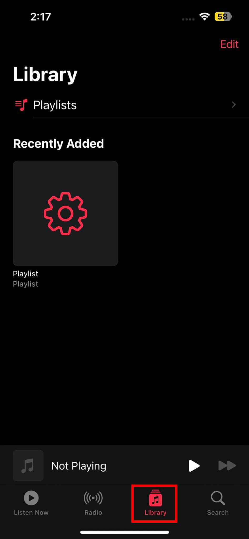 Apple Music App Library Section