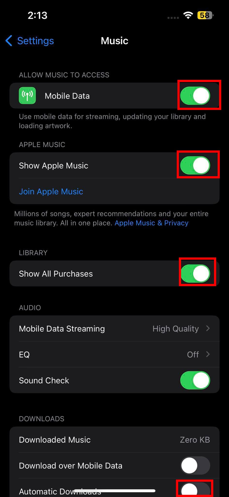 Apple Music Settings page on an iPhone