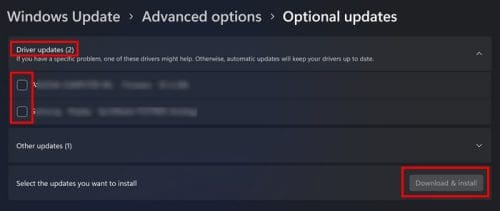 Install Driver Updates option in Windows 11