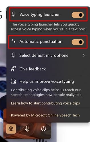 Voice Typing Settings