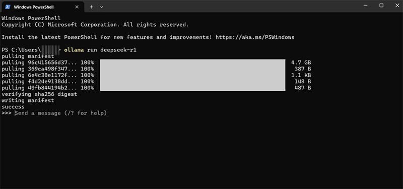 How to Install DeepSeek Locally 5